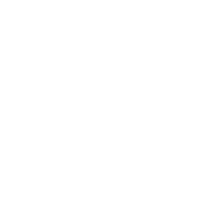 Logo Castelfolk Bianco